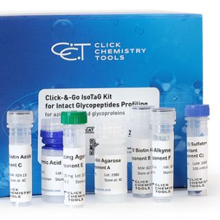 同位素靶向糖蛋白組學 (IsoTag)Click-&-Go IsoTaG Kit for Intact Glycopeptides Profiling （for azide-modified glycoproteins）